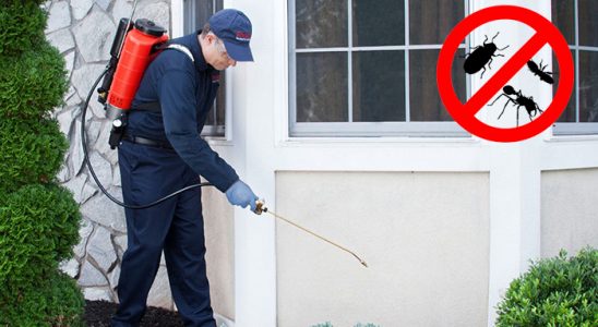 Karacasu Gümüşkurt İlaçlama böcek ilaçlama ve haşere kontrolü — ilaclama-tr.com